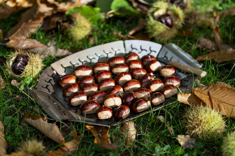 SG Roasted Chestnuts 01259