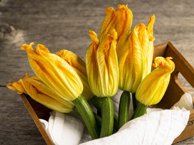 JPEG Fried Courgette Flowers 1047