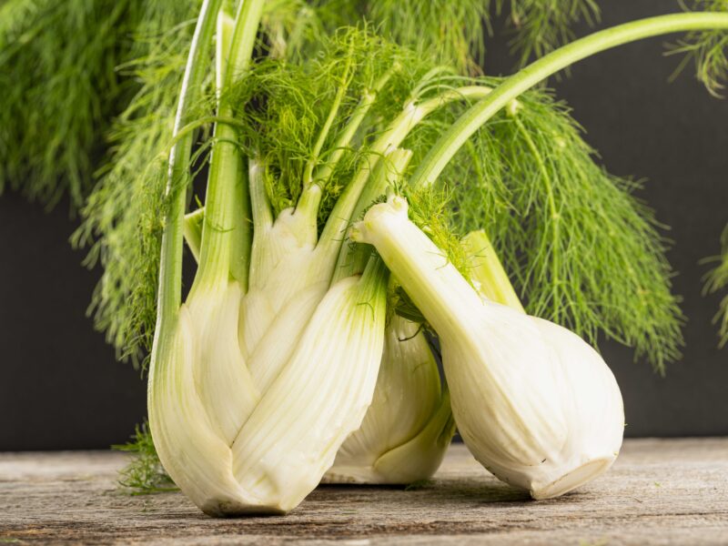 Fennel Soup 9
