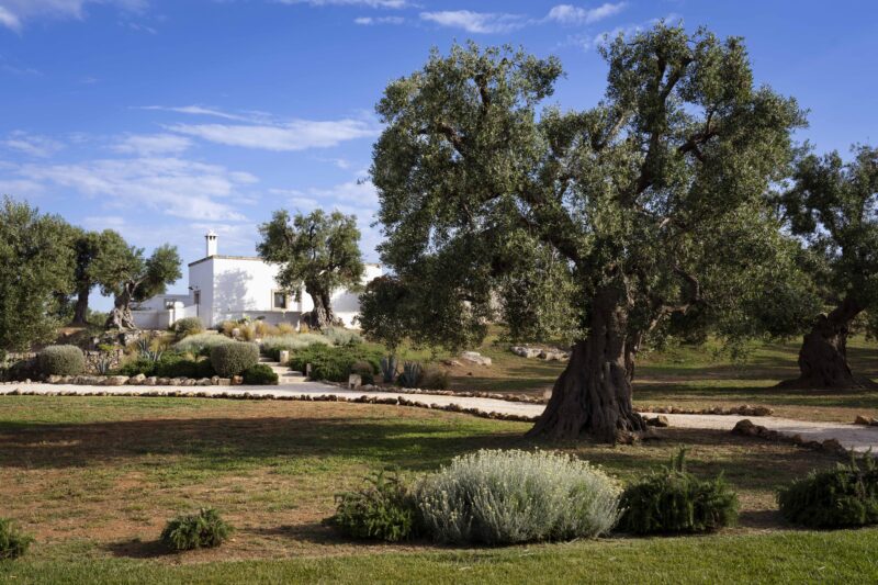 Puglia Coast 306