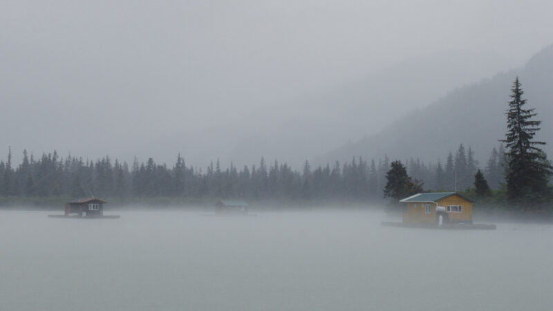 Alaska III 165