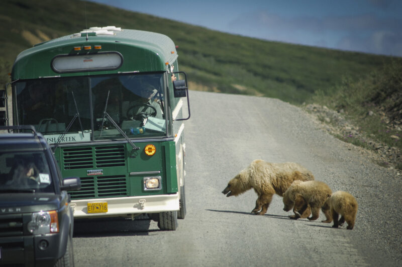 Alaska VI 428