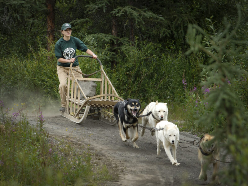 Alaska VI 401