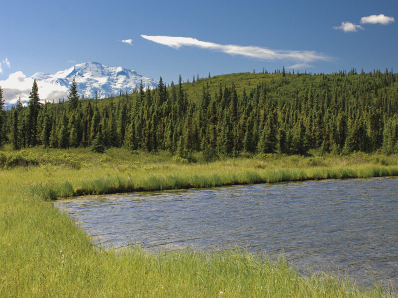 Alaska VI 600